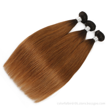 Ombre Bundles And Closure 1B/30 Color Bundles With Closure Ombre Colored Brown Brazilian Ombre Hair Bundles With Closure